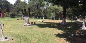 Unidades masculinas (3)