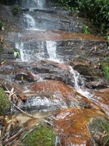 Unidades masculinas (7)